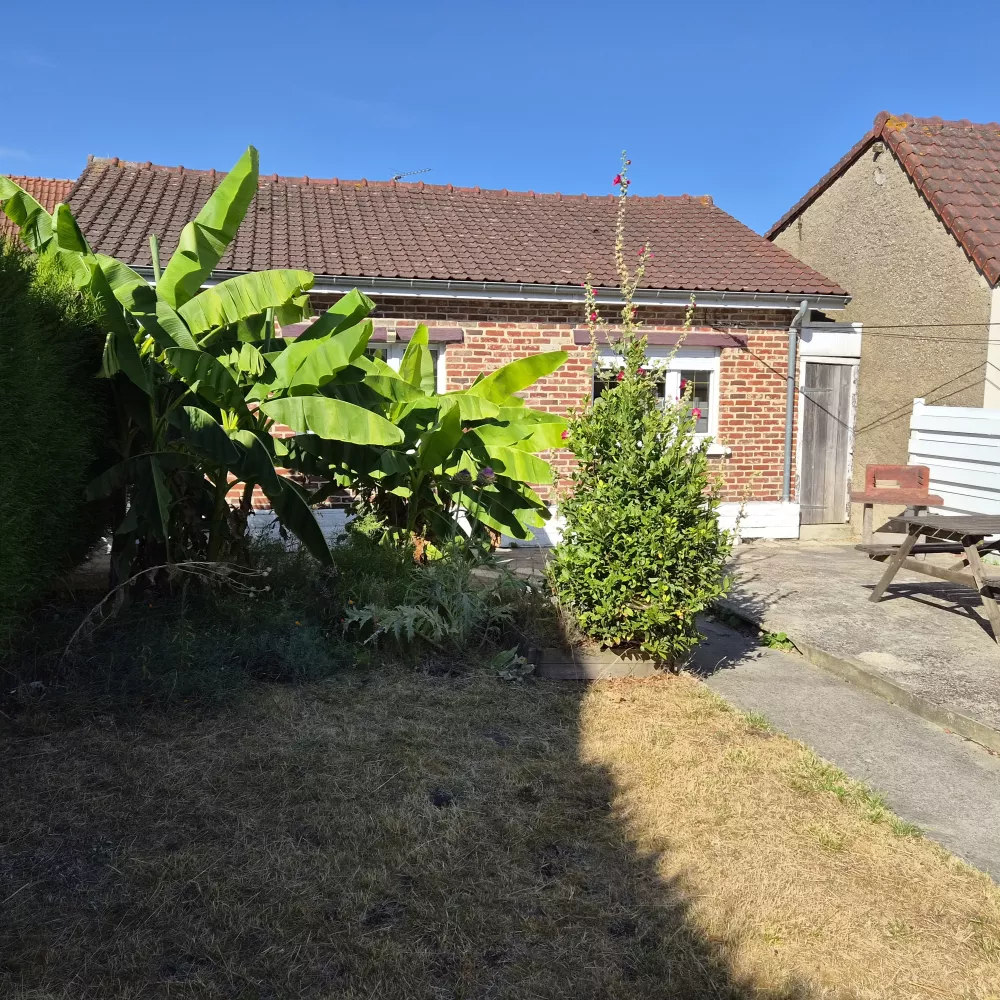 Jardin privatif planté et façade en brique de la maison